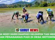 Serma Mody Hardi Dampingi Kelompok Tani Mekar 1 dalam Penanaman Padi di Desa Motomingo