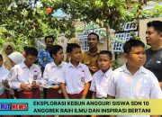 Eksplorasi Kebun Anggur! Siswa SDN 10 Anggrek Raih Ilmu dan Inspirasi Bertani
