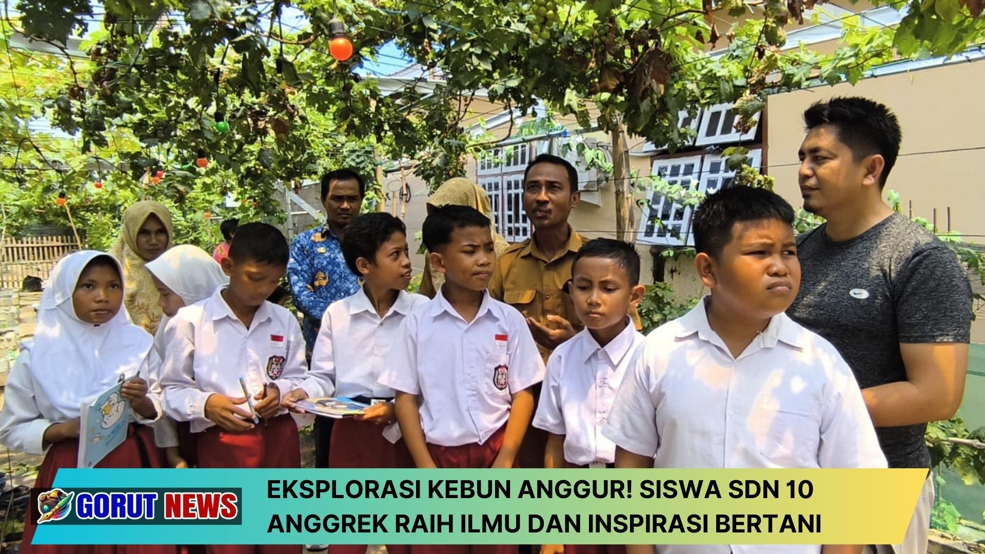 Eksplorasi Kebun Anggur! Siswa SDN 10 Anggrek Raih Ilmu dan Inspirasi Bertani