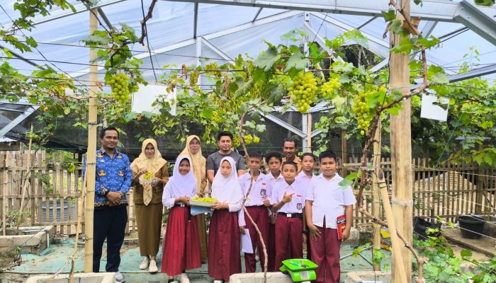 Eksplorasi Kebun Anggur! Siswa SDN 10 Anggrek Raih Ilmu dan Inspirasi Bertani