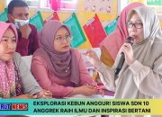 Pendampingan Literasi, Membangun Generasi Cerdas Bersama Guru di Kecamatan Anggrek