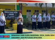 Semarak Hari Guru Nasional 2024, Guru SDN 1 Anggrek Jadi Petugas Upacara