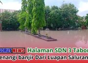  Banjir Menggenangi Halaman SDN 3 Tabongo Akibat Luapan Saluran Air