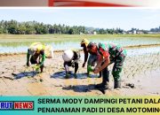 Serma Mody Dampingi Petani Dalam Penanaman Padi di Desa Motomingo