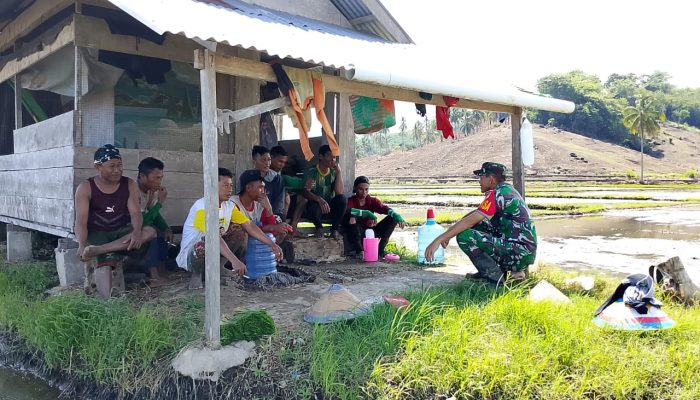 Babinsa Koramil 1314-02/Atinggola Gelar Komsos Bersama Kelompok Tani Mekar di Desa Motomingo
