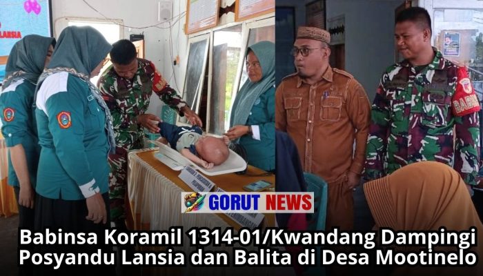 Babinsa Koramil 1314-01/Kwandang Dampingi Posyandu Lansia dan Balita di Desa Mootinelo