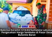 Babinsa Koramil 1314-03/Sumalata Lakukan Pengecekan Harga Sembako di Pasar Desa Bulontio Barat