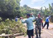 Serma Ruslang Tanggapi Cepat Pohon Tumbang di Desa Dambalo, Kec. Tomilito, Kab. Gorut