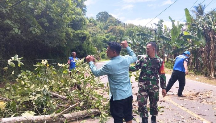 Serma Ruslang Tanggapi Cepat Pohon Tumbang di Desa Dambalo, Kec. Tomilito, Kab. Gorut