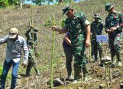 Dukung Swasembada Pangan, Kodim 1304/Gorontalo Ikut Tanam Padi Gogo