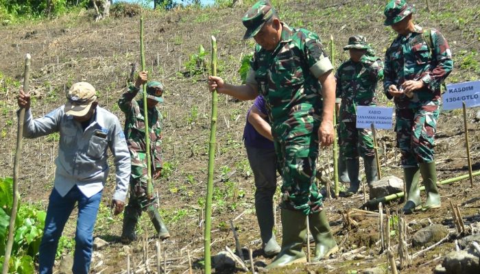 Dukung Swasembada Pangan, Kodim 1304/Gorontalo Ikut Tanam Padi Gogo