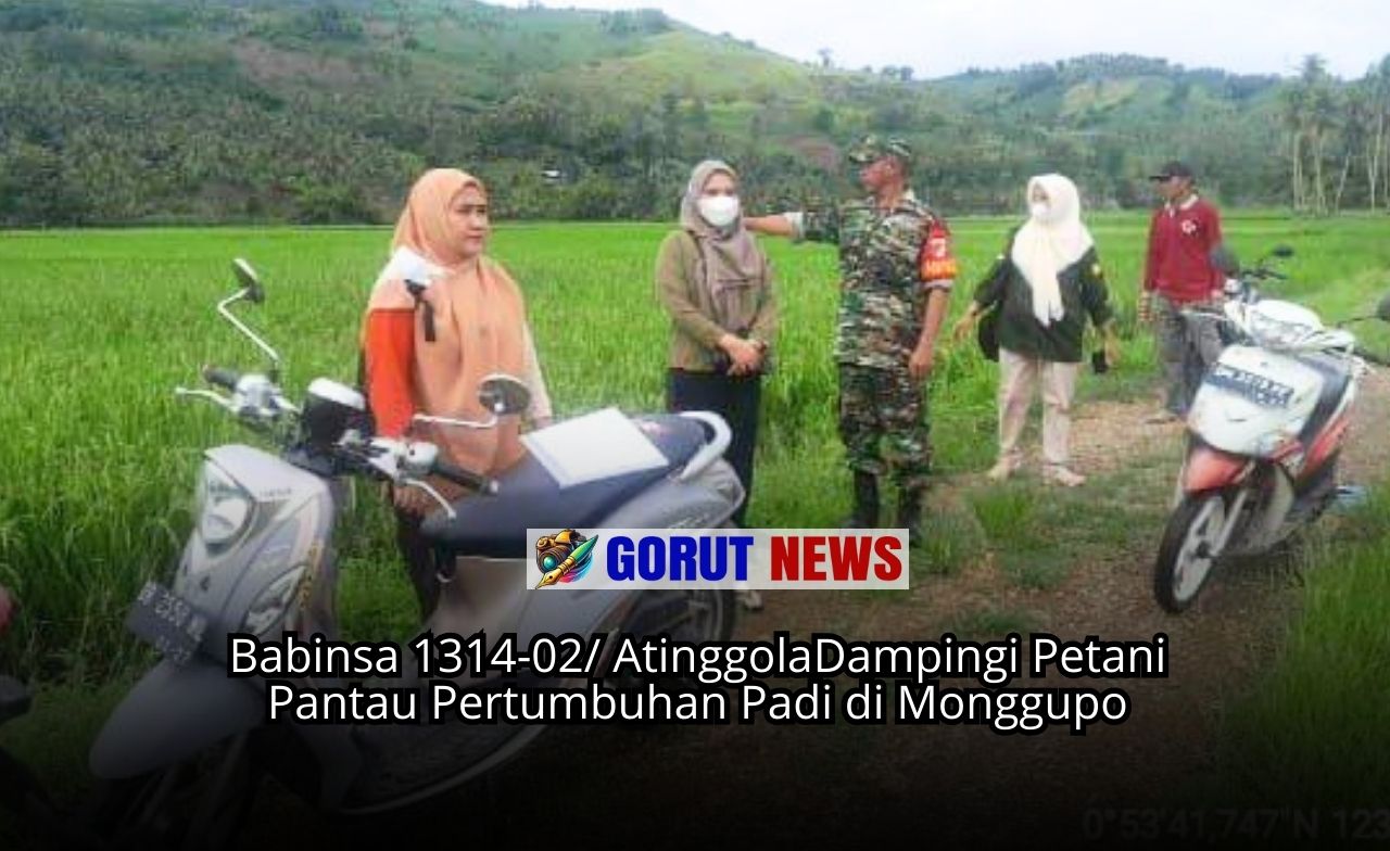 Babinsa Dampingi Petani Pantau Pertumbuhan Padi di Monggupo