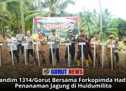 Dandim 1314/Gorut Bersama Forkopimda Hadiri Penanaman Jagung di Huidumilito