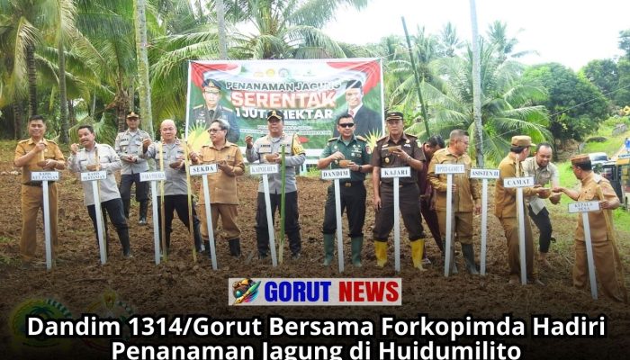 Dandim 1314/Gorut Bersama Forkopimda Hadiri Penanaman Jagung di Huidumilito