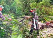 Babinsa Koramil 1314-01/Kwandang Evakuasi Pohon Tumbang di Jalan Desa Dambalo