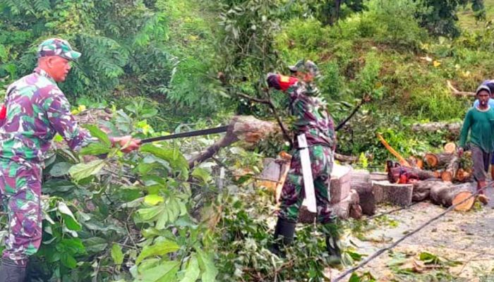 Babinsa Koramil 1314-01/Kwandang Evakuasi Pohon Tumbang di Jalan Desa Dambalo