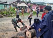 Babinsa Ipilo Bantu Bersihkan Jalan Akibat Pohon Tumbang