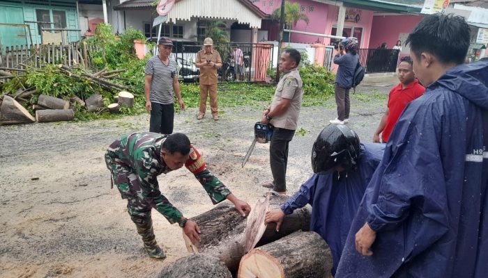 Babinsa Ipilo Bantu Bersihkan Jalan Akibat Pohon Tumbang