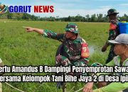 Sertu Amandus Dampingi Penyemprotan di Desa Ipilo