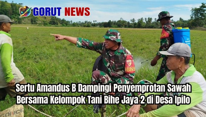 Sertu Amandus Dampingi Penyemprotan di Desa Ipilo