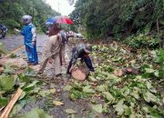 Pratu Rolin Bantu Evakuasi Pohon Tumbang di Jalur Trans Gorut-Buol