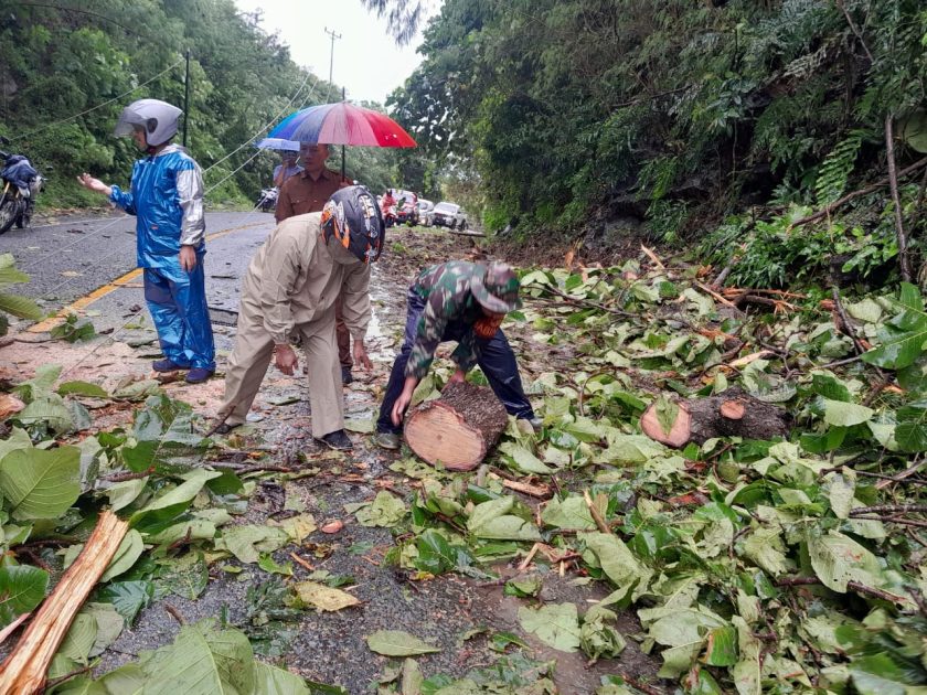 Pratu Rolin Bantu Evakuasi Pohon Tumbang di Jalur Trans Gorut-Buol