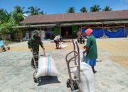Sertu Amandus Bantu Petani Jemur Padi