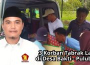 Aleg Gerindra Kawal, Pelaku Tabrak Lari Pulubala Tertangkap