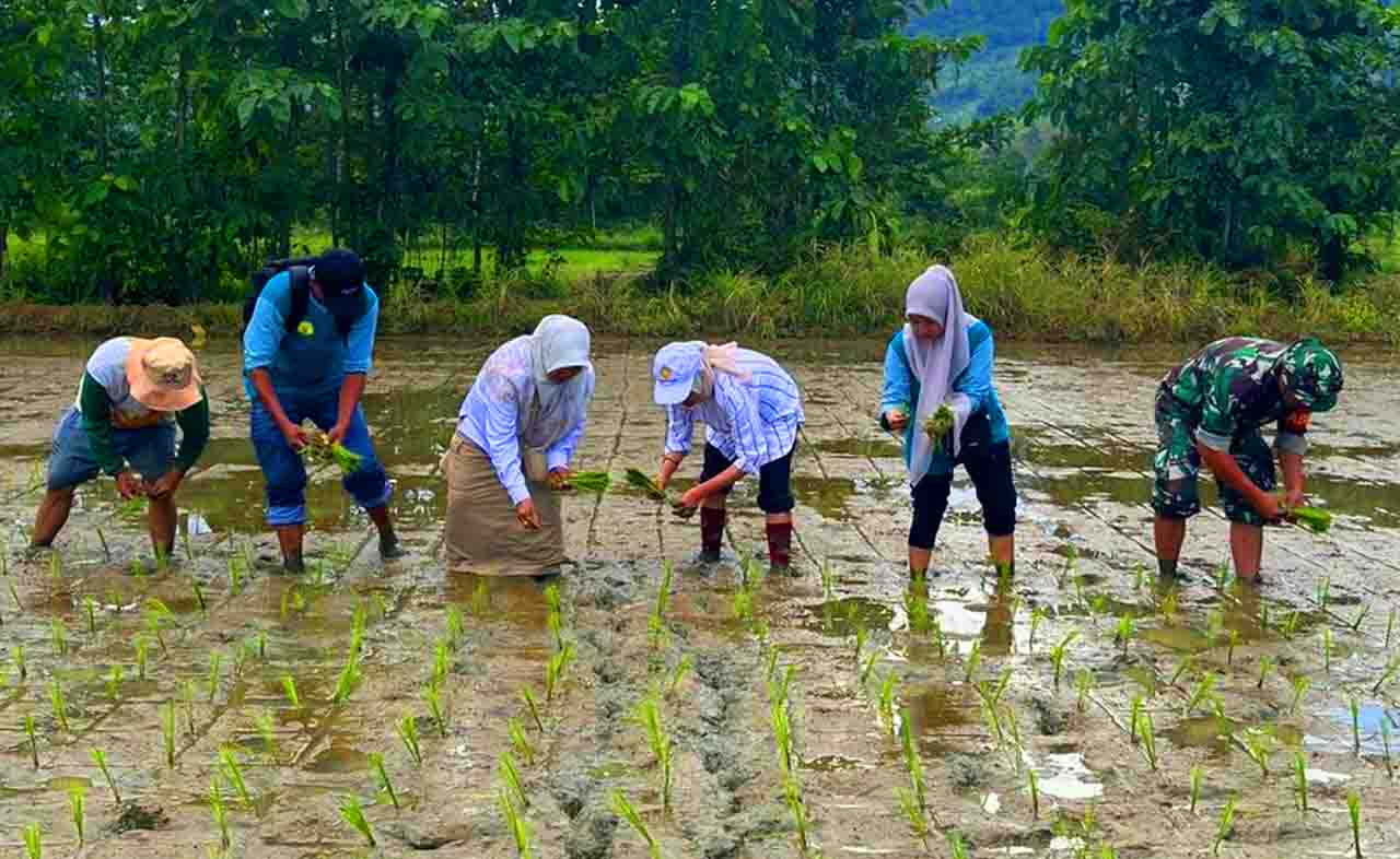 Babinsa Sertu Parman Simbo mendampingi petugas Kementerian Pertanian saat pengecekan LTT di Desa Pulohenti, Rabu (18/6/2025
