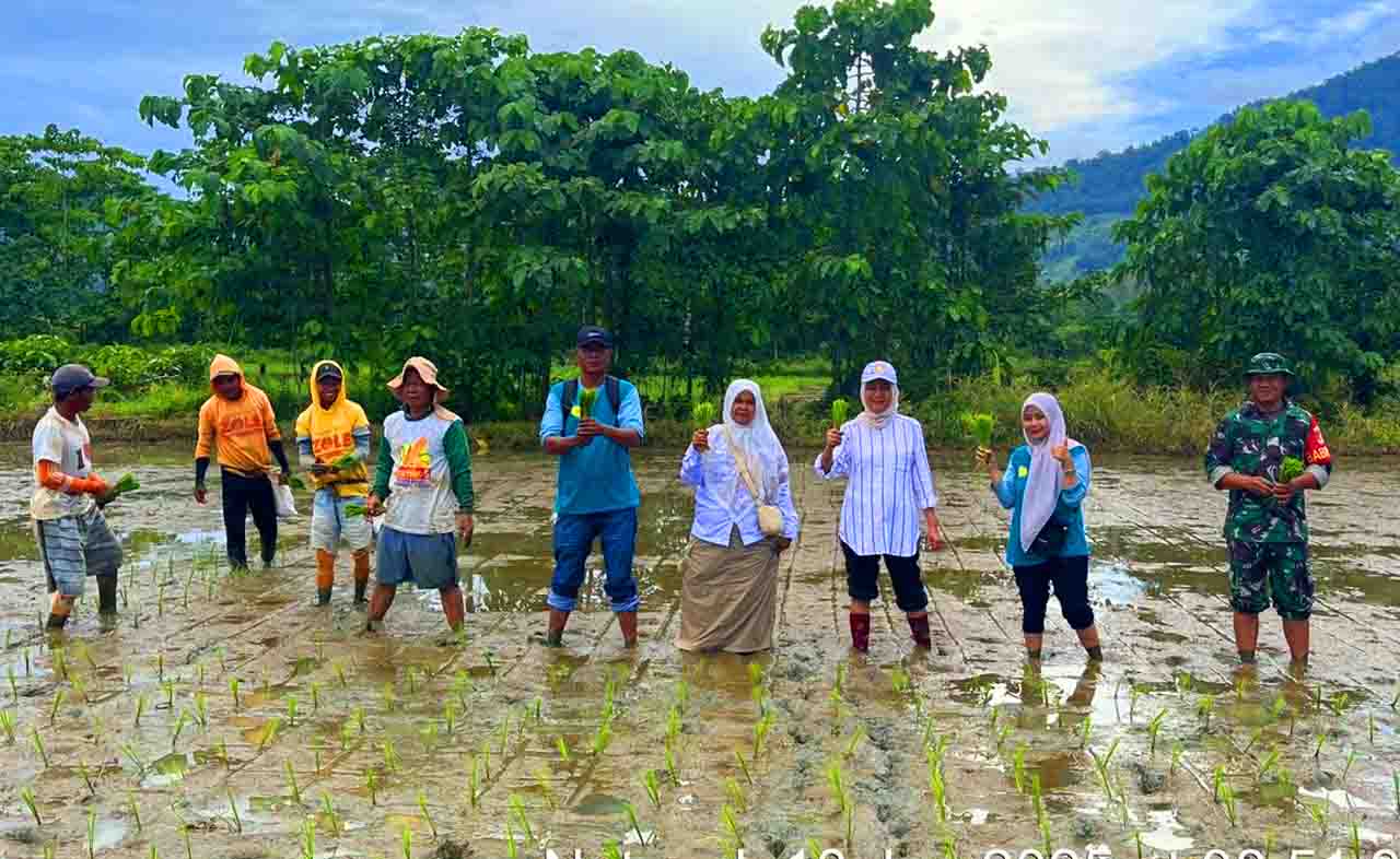 Babinsa Sertu Parman Simbo mendampingi petugas Kementerian Pertanian saat pengecekan LTT di Desa Pulohenti, Rabu (18/6/2025