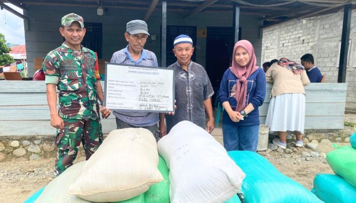 Babinsa Dampingi Penyaluran Bibit Inpari 32 untuk Petani di Kecamatan Biau