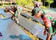 Koramil Kwandang Siapkan Lahan Cabai dan Terong, Dukung Ketahanan Pangan