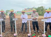 Sertu Hendra Wahyudi Dukung Penanaman Jagung dan Cabai di Bulalo