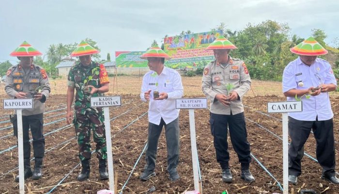 Sertu Hendra Wahyudi Dukung Penanaman Jagung dan Cabai di Bulalo