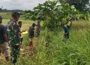 Koramil Sumalata Turun Lapangan Awasi Survei Tujuh Titik Irigasi