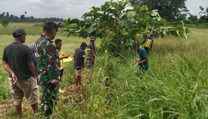 Koramil Sumalata Turun Lapangan Awasi Survei Tujuh Titik Irigasi