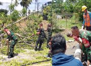 Sinergi Koramil 1314-01/Kwandang, Brigif 22/OM, dan Polsek Anggrek Evakuasi Pohon Tumbang