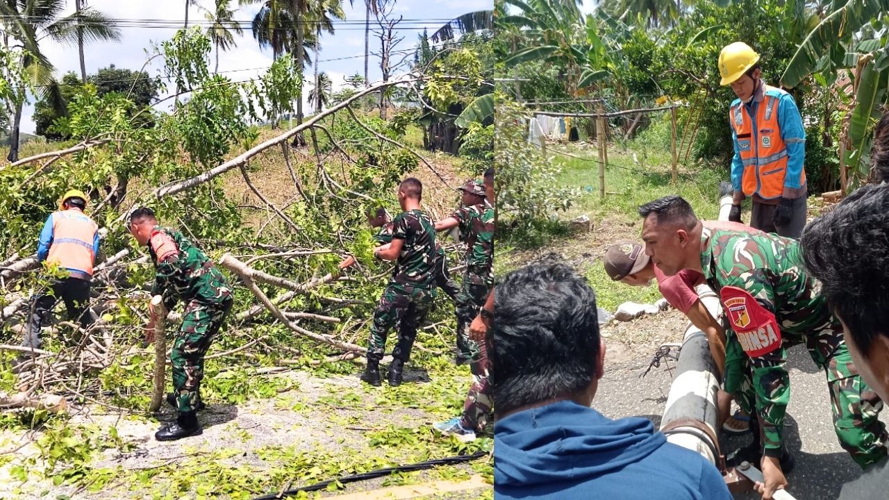 Sinergi Koramil 1314-01/Kwandang, Brigif 22/OM, dan Polsek Anggrek Evakuasi Pohon Tumbang