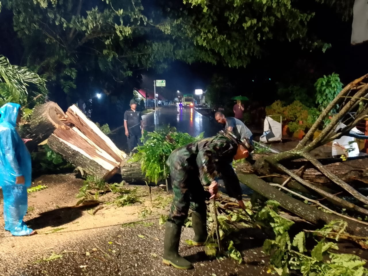 Babinsa dan Warga Gentuma Raya Sigap Evakuasi Pohon Tumbang di Jalan Trans Sulawesi