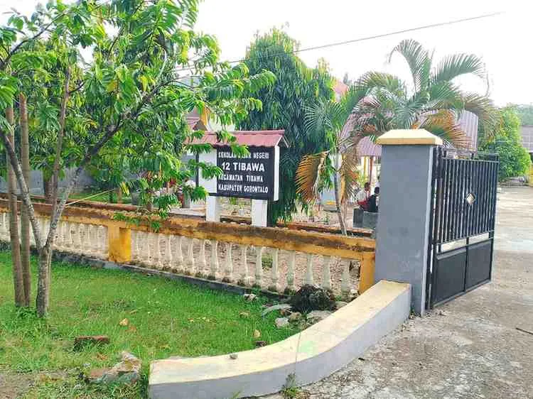 Kenangan Sekolah Zaman Dulu di SDN 12 Tibawa