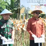 Kasrem 133/NW Hadiri Panen Jagung Serentak Dukung Swasembada Pangan