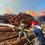 Aksi Heroik Serda Jemsi Rende Turut Padamkan Kebakaran di HTI Monano