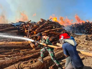 Aksi Heroik Serda Jemsi Rende Turut Padamkan Kebakaran di HTI Monano