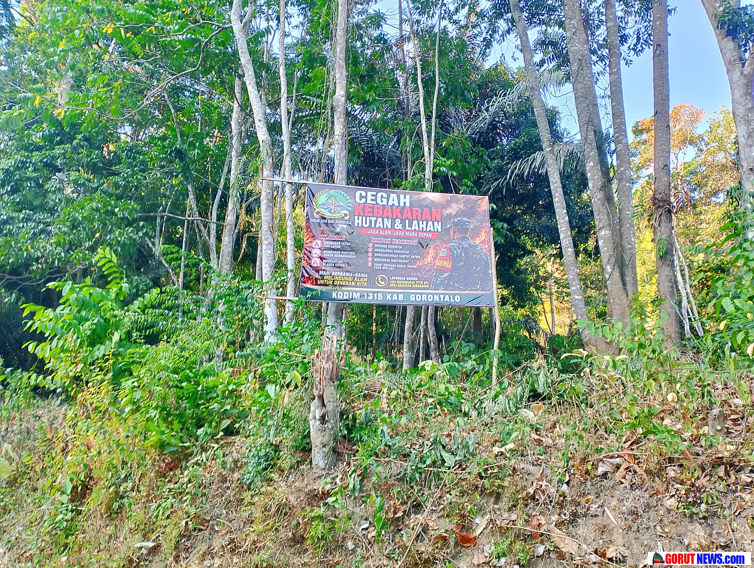 Menjaga Cagar Alam Tangale, Rumah Tarsius dan Hutan Gorontalo