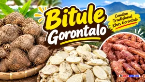 Mengenal Bitule, Umbi Tradisional Gorontalo yang Kaya Manfaat