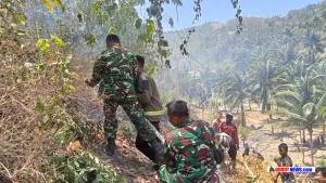 Kebakaran Lahan 2 Hektare di Botumoputi, TNI-Polri dan Warga Padamkan Api